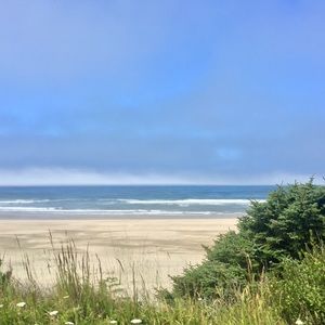 Meet your Posher, Sherri